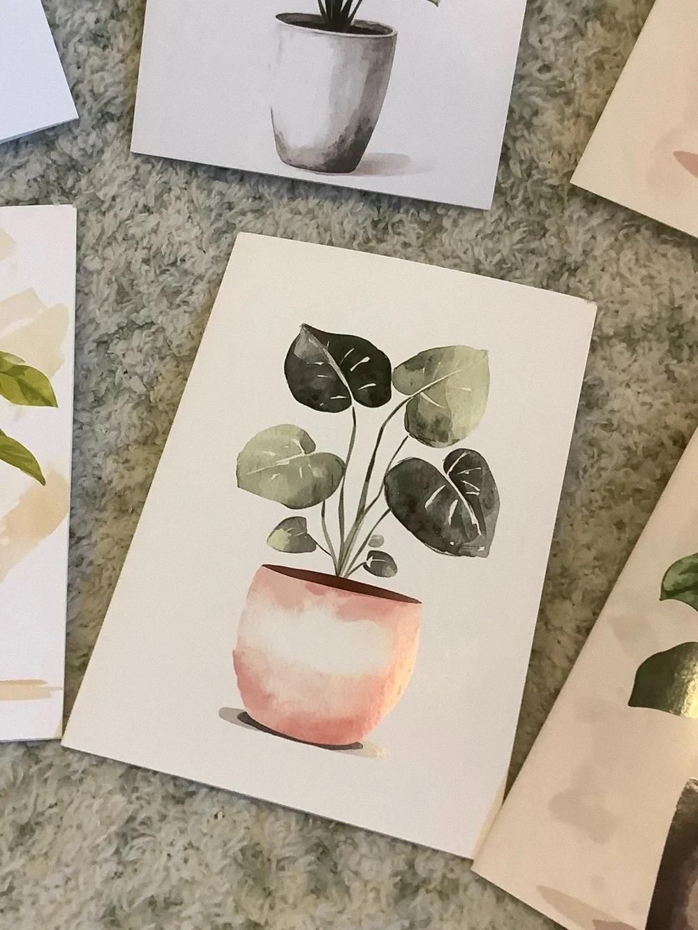 Potted Tropical Plants Note Cards Variety Pack Set of 6 Blank inside NWT HC